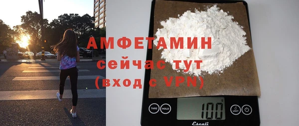 шишки Осинники
