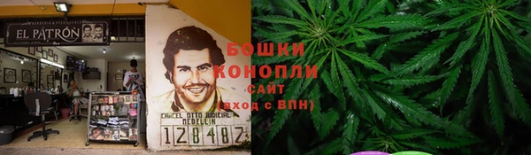 шишки Осинники