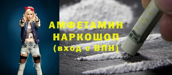 шишки Осинники