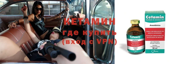 шишки Осинники