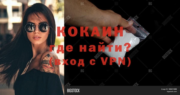 шишки Осинники