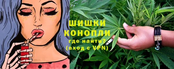 шишки Осинники