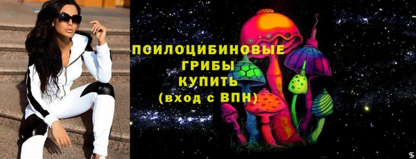 шишки Осинники