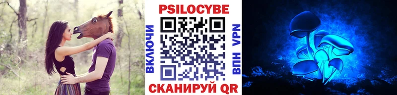купить цена Бежецк omg как зайти Галлюциногенные грибы мицелий